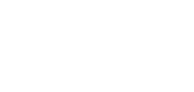 Team Srijan logo